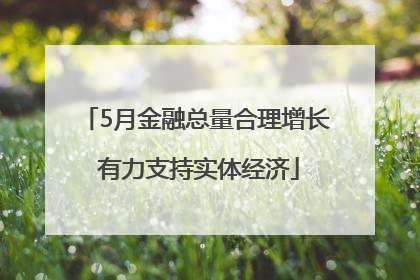 5月金融总量合理增长 有力支持实体经济