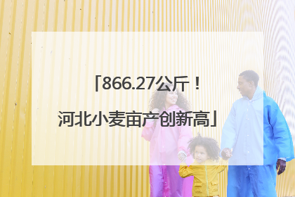 866.27公斤！河北小麦亩产创新高