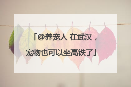 @养宠人 在武汉，宠物也可以坐高铁了