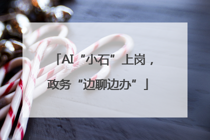 AI“小石”上岗，政务“边聊边办”