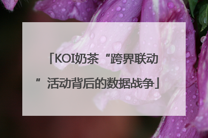 KOI奶茶“跨界联动”活动背后的数据战争