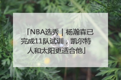 NBA选秀｜杨瀚森已完成11队试训，凯尔特人和太阳更适合他
